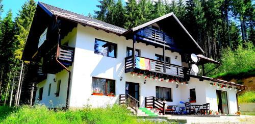 Hostal Pensiunea Vatra Bucovinei
