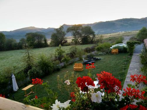 Hostal Pensiunea Poezii Alese
