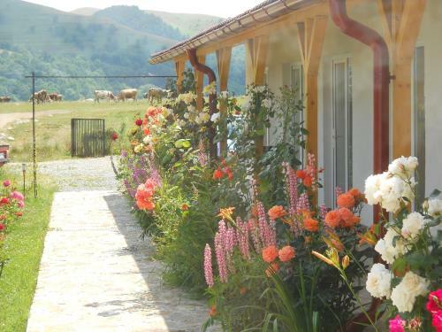 Hostal Pensiunea Poezii Alese
