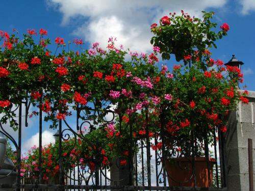 Hostal Pensiunea Neredy