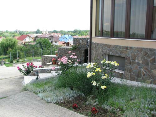 Hostal Pensiunea Neredy