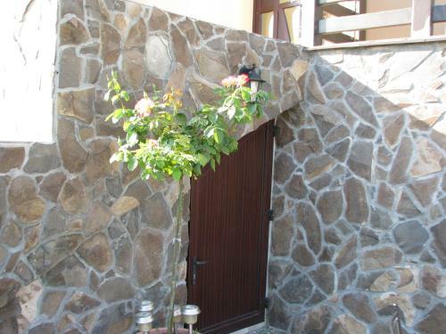 Hostal Pensiunea Neredy