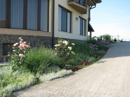 Hostal Pensiunea Neredy
