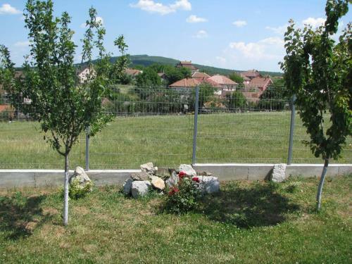Hostal Pensiunea Neredy