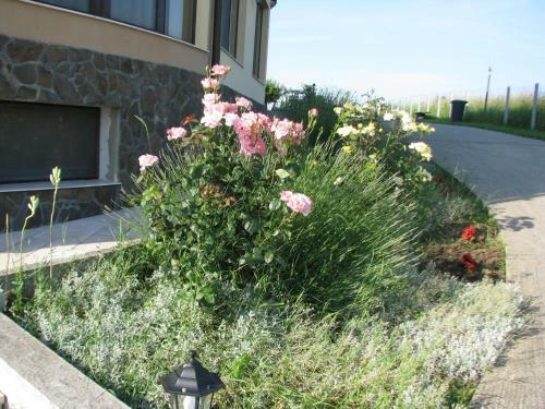 Hostal Pensiunea Neredy