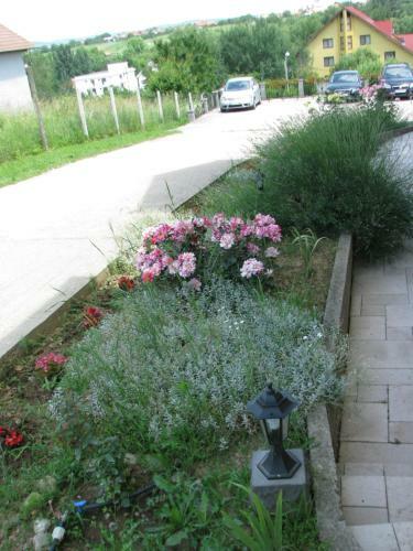 Hostal Pensiunea Neredy