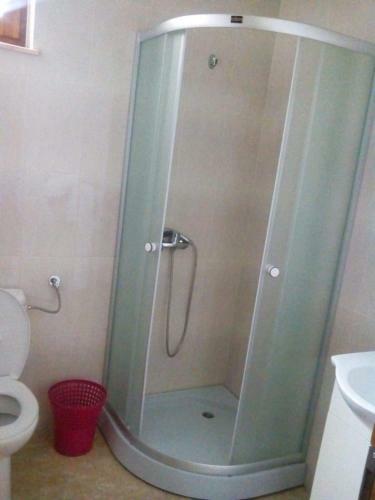 Hostal Pension Cetate Valc?u de Sus
