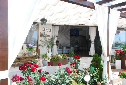 Hostal Casa Ok By Ovo