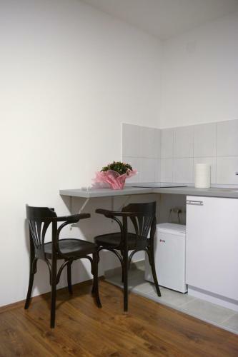 Apartamento Prenociste Mali Pariz