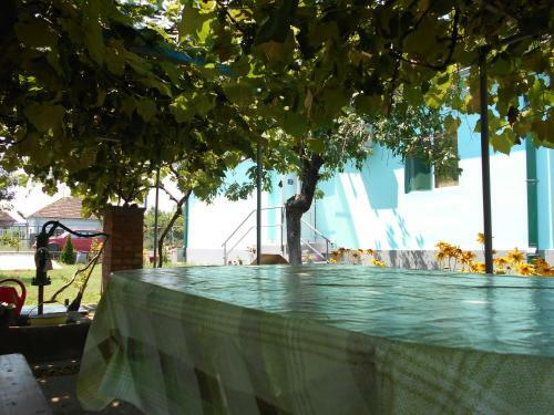 Apartment Dunav