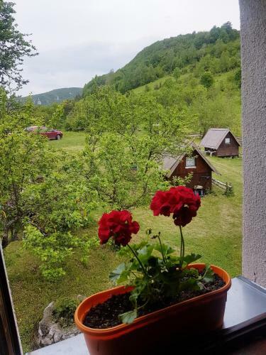 Hostal Etno Domacinstvo Saponjic