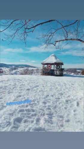 Hostal Etno Domacinstvo Saponjic