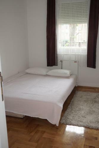 New Cozy Modern Apartment