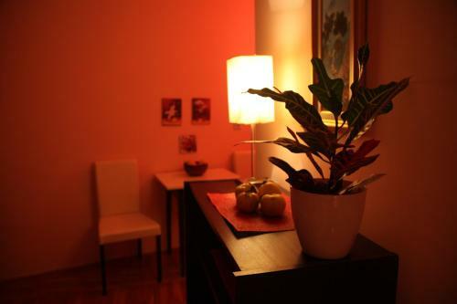 Momo's Studio Apartment Subotica