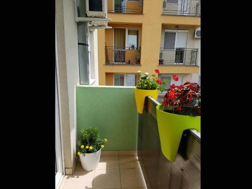 Apartman Boska