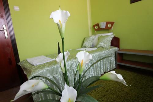 Hostal Villa Atina