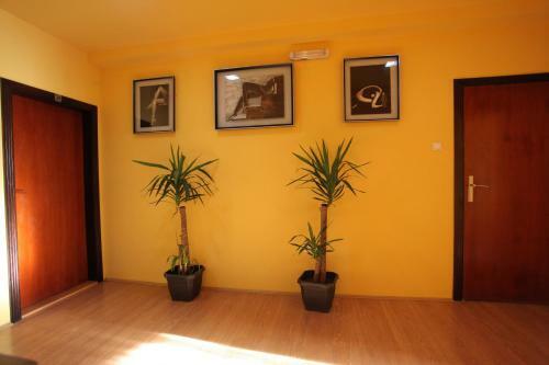 Hostal Villa Atina
