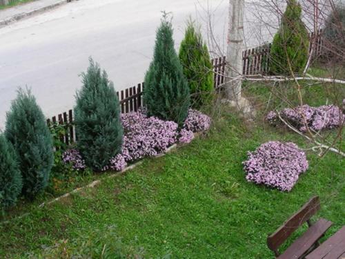Hostal Guesthouse Smiljani?