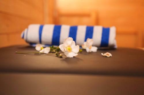Lodge Cabin Menka