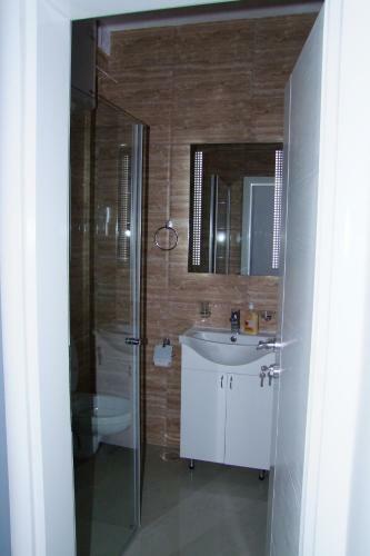 B&B Hisar International