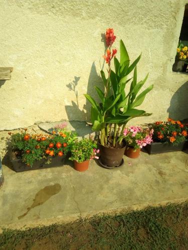 Apartamento Smestaj Rakovic