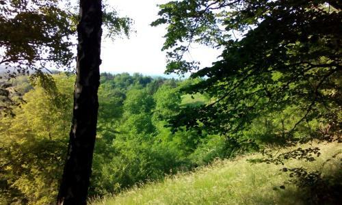 Hostal Guest House Vidmar