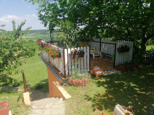 Guest House Jevtovi?