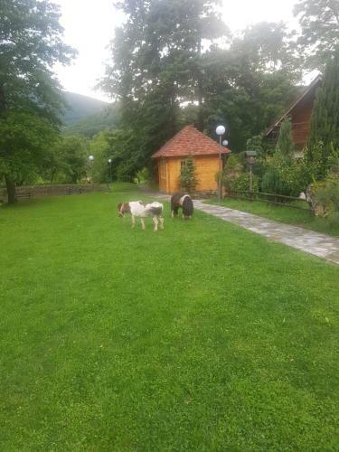 Bed & Breakfast Vodopad Lisine