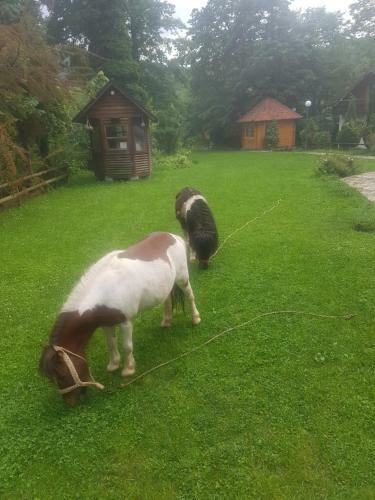Bed & Breakfast Vodopad Lisine