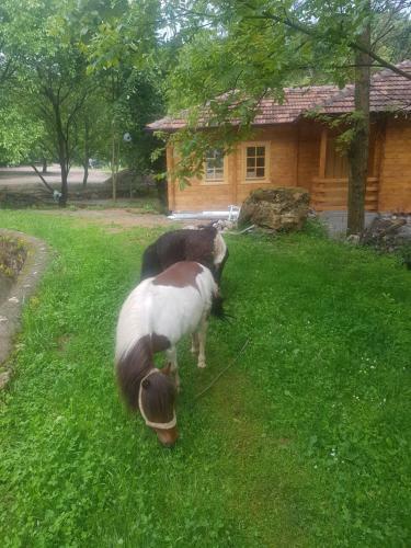 Bed & Breakfast Vodopad Lisine