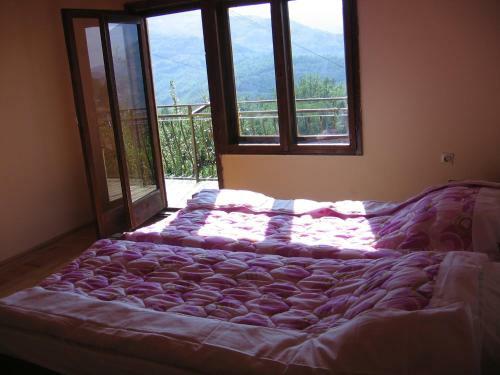 Hostal Guest House Pribojska Banja
