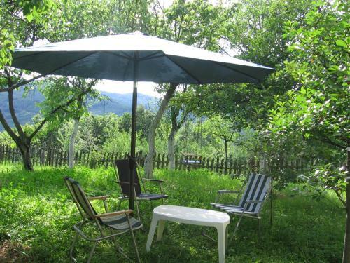 Hostal Guest House Pribojska Banja
