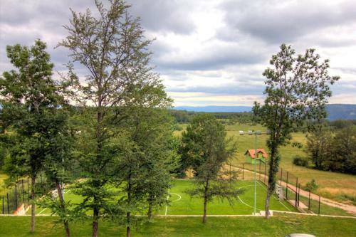 Apartments Zaric
