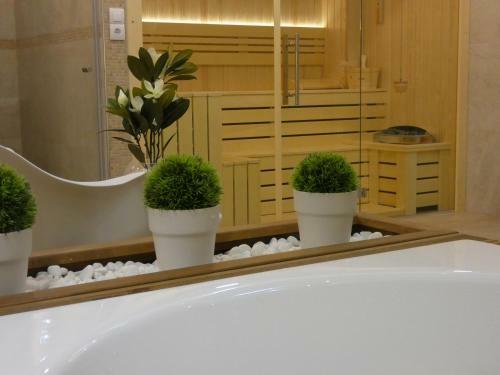 Apartamentos Villa Natural Wood