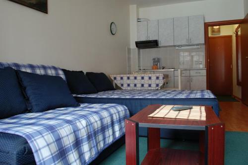 Apartment Sunny Hill Zlatibor