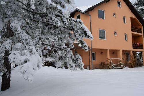 Apartamento Vila Aris Zlatibor