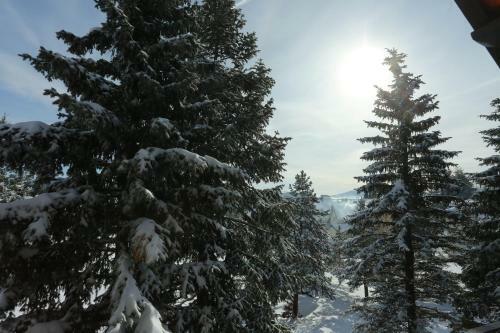 Mipet Apartmani Zlatibor