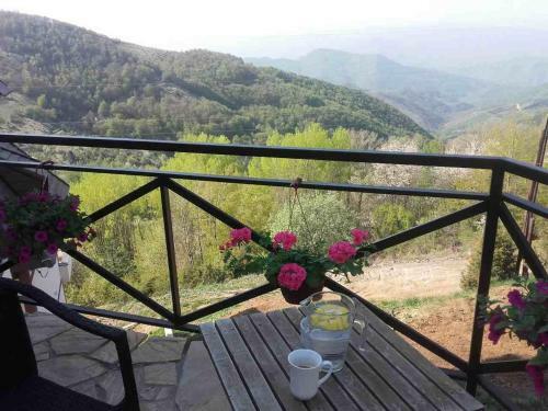 Dvori Apartments