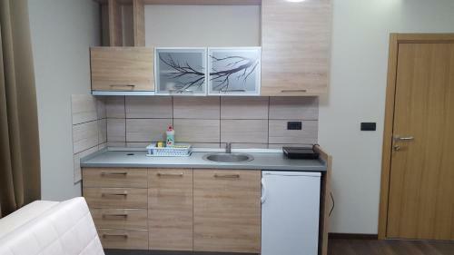 Apartment Nika