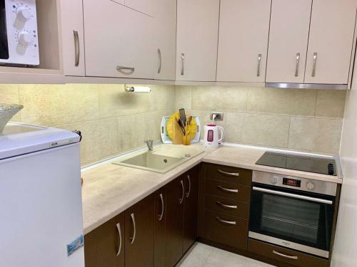 Lazic Apartment