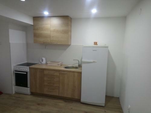 Apartman Antic Novi Beograd