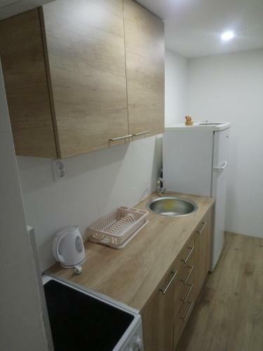 Apartman Antic Novi Beograd