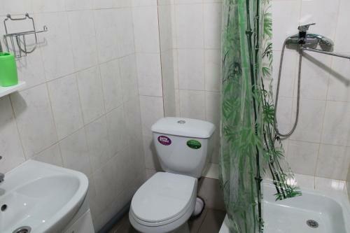 Apartments Agrafenina Puston