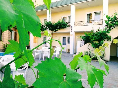 Hostal Briz Guest House