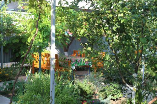 Hostal Guest House Arina