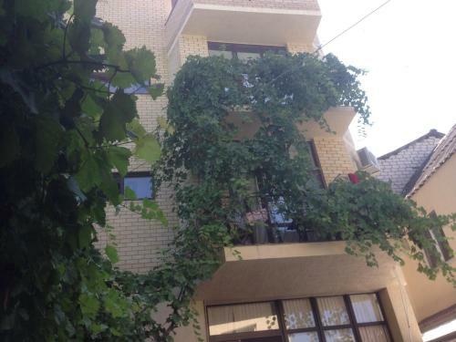 Hostal Guest House Verosa