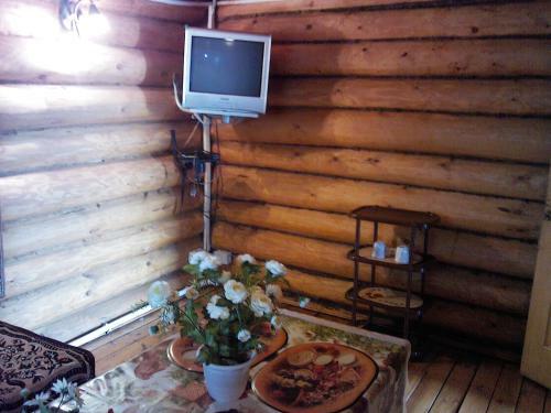 Motel U Viktora