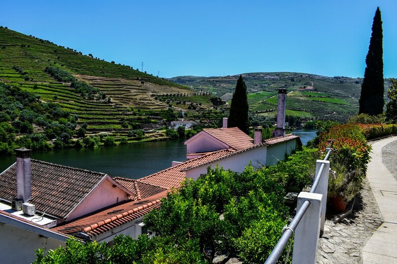 Quinta De La Rosa