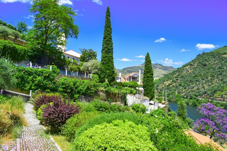Quinta De La Rosa