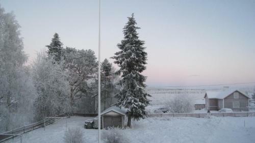 Hostal Guesthouse Golden Goose